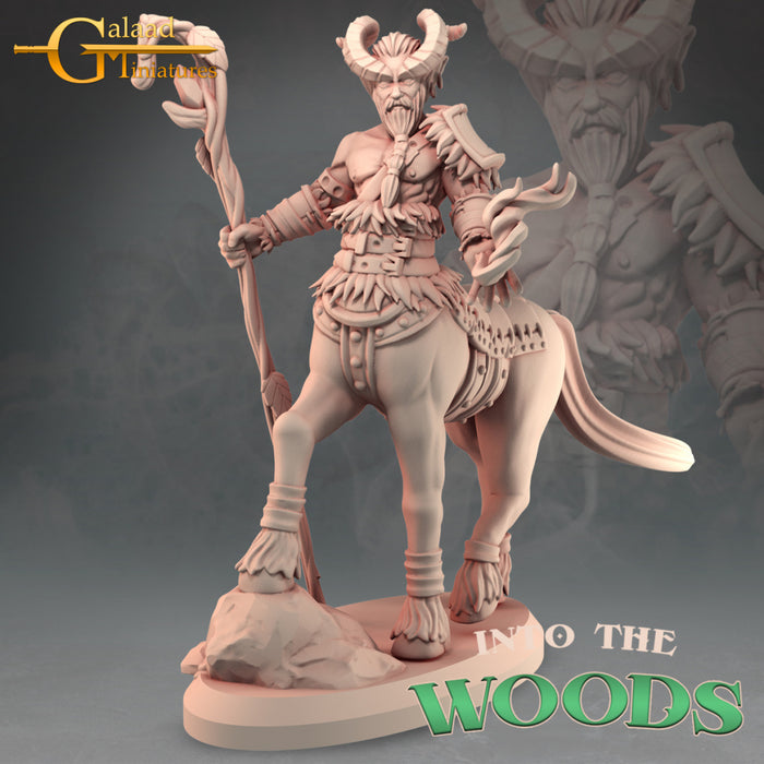 Centaur A | Into the Woods | Fantasy Miniature | Galaad Miniatures