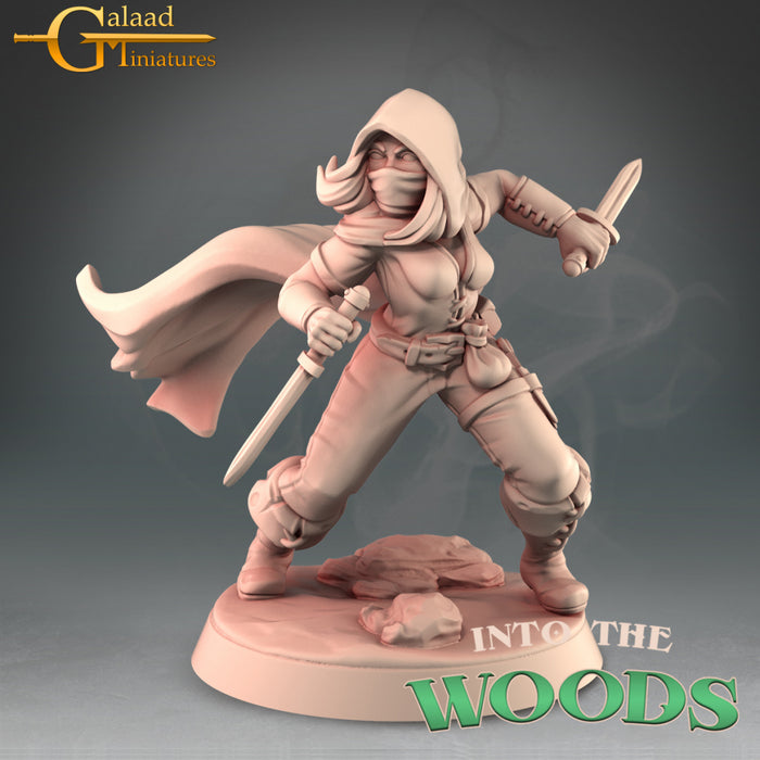 Rogue Hero | Into the Woods | Fantasy Miniature | Galaad Miniatures