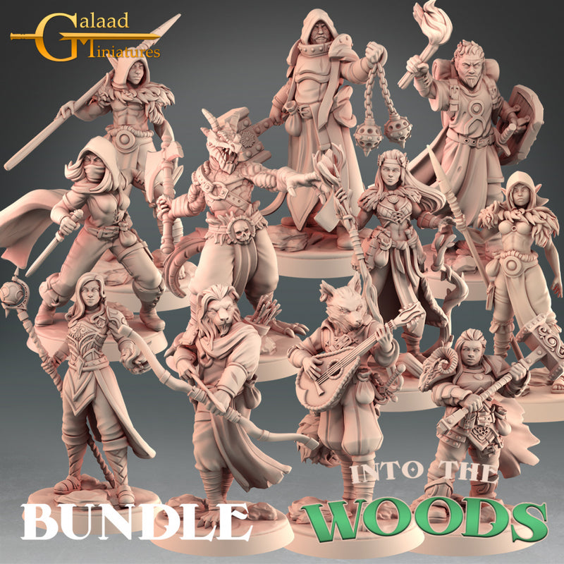 Hero Miniatures | Into the Woods | Fantasy Miniature | Galaad Miniatures