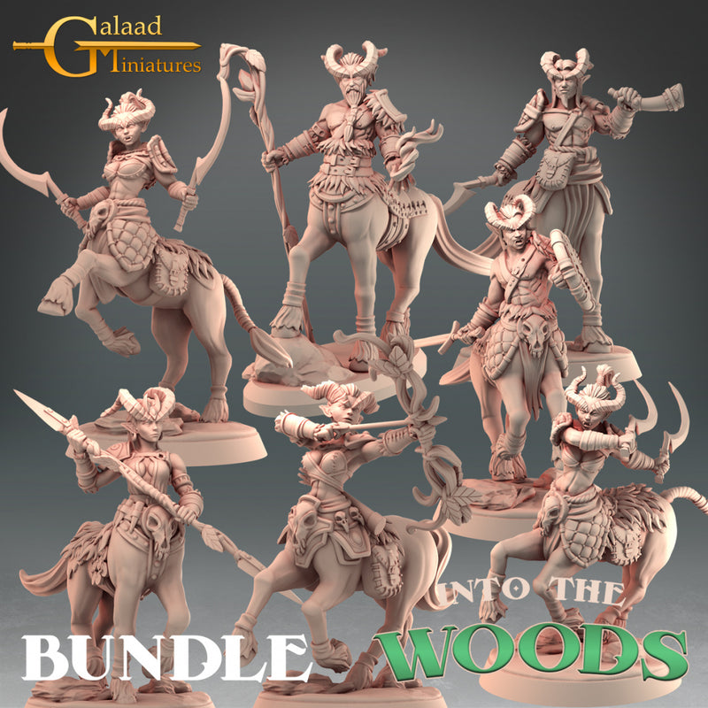 Centaur Miniatures | Into the Woods | Fantasy Miniature | Galaad Miniatures