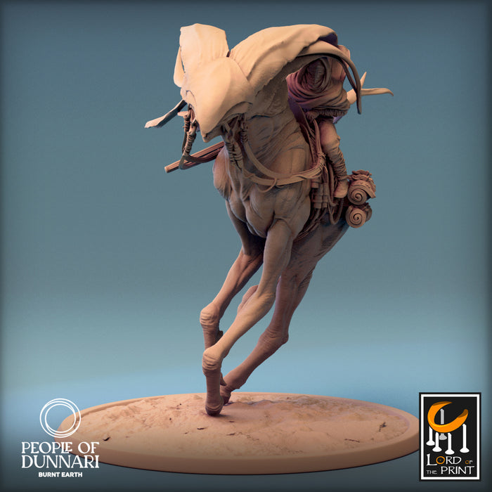 Windglider C | People of Dunnari | Fantasy Miniature | Rescale Miniatures