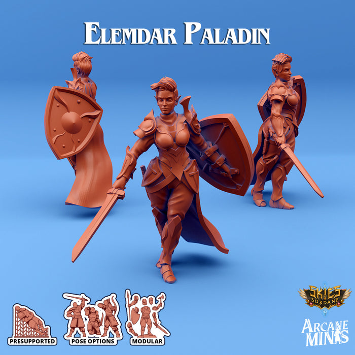 Elemdar Paladin B | Skies of Sordane | Fantasy Miniature | Arcane Minis
