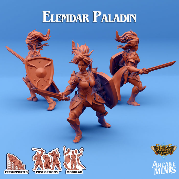 Elemdar Paladin C | Skies of Sordane | Fantasy Miniature | Arcane Minis