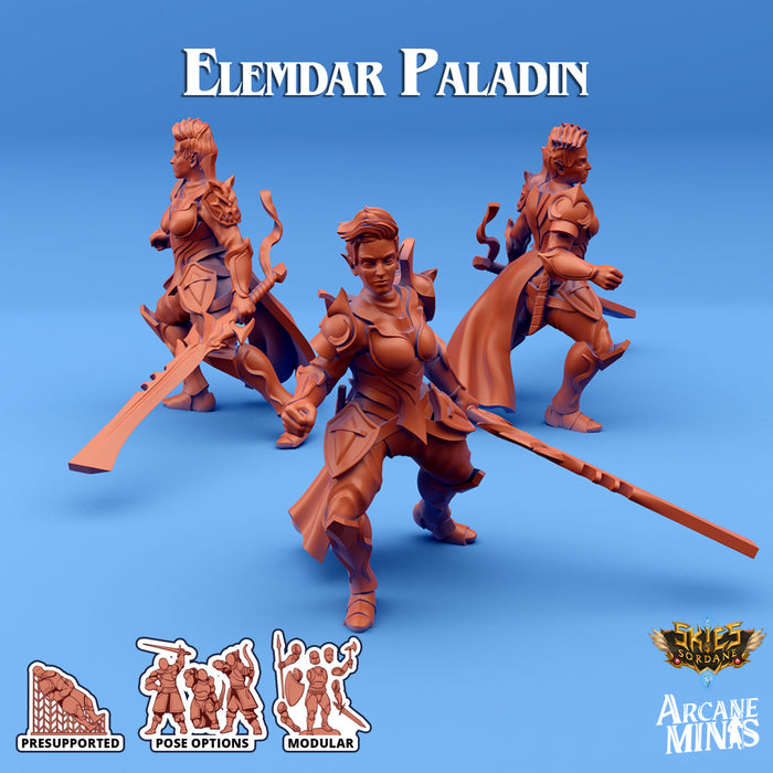 Elemdar Paladin E | Skies of Sordane | Fantasy Miniature | Arcane Minis