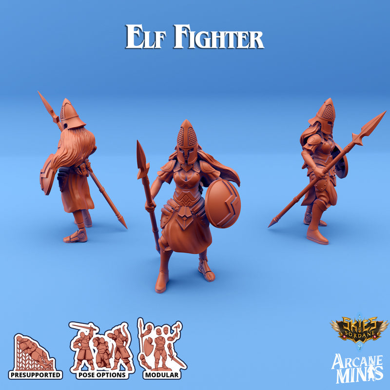 Elf Fighter C | Skies of Sordane | Fantasy Miniature | Arcane Minis