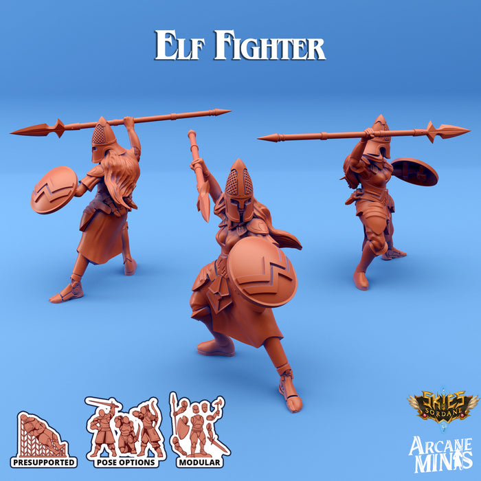 Elf Fighter D | Skies of Sordane | Fantasy Miniature | Arcane Minis
