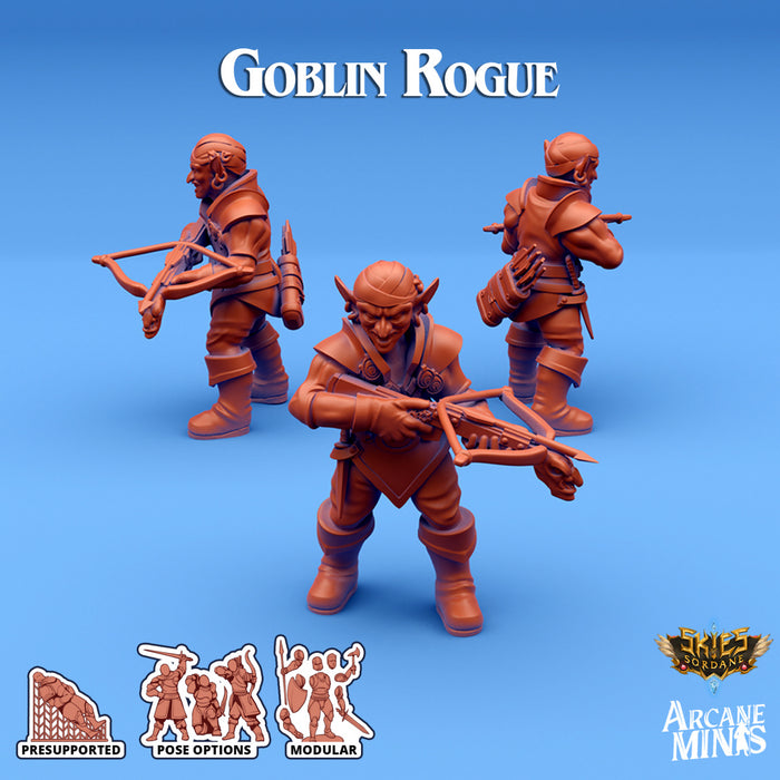 Goblin Rogue C | Skies of Sordane | Fantasy Miniature | Arcane Minis