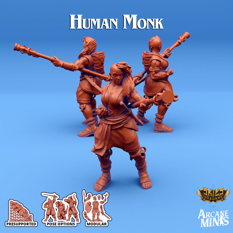 Human Monk A | Skies of Sordane | Fantasy Miniature | Arcane Minis