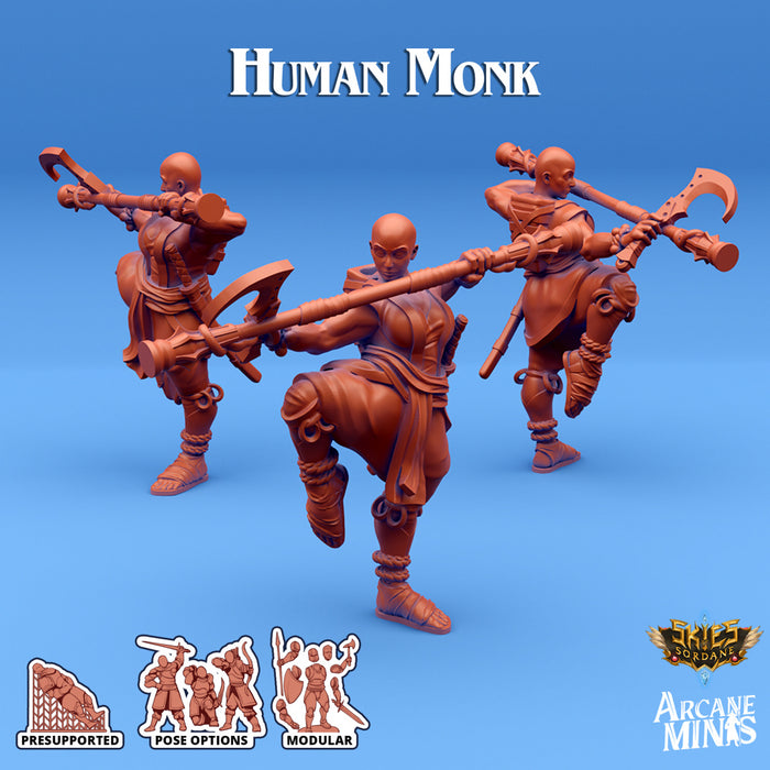 Human Monk D | Skies of Sordane | Fantasy Miniature | Arcane Minis