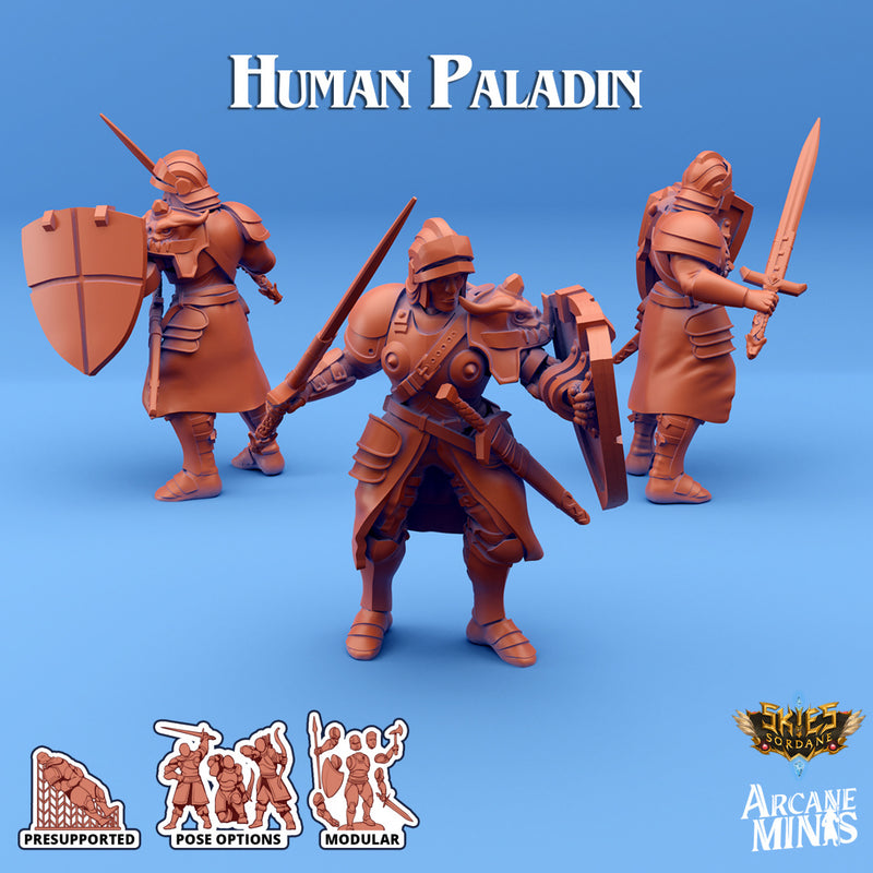 Human Paladin C | Skies of Sordane | Fantasy Miniature | Arcane Minis