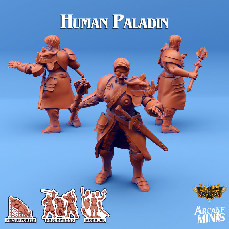 Human Paladin A | Skies of Sordane | Fantasy Miniature | Arcane Minis