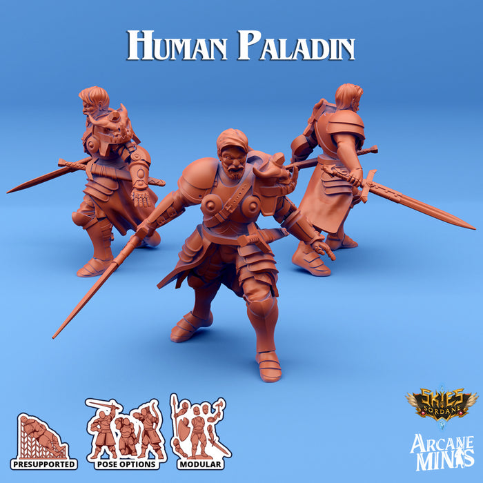 Human Paladin B | Skies of Sordane | Fantasy Miniature | Arcane Minis