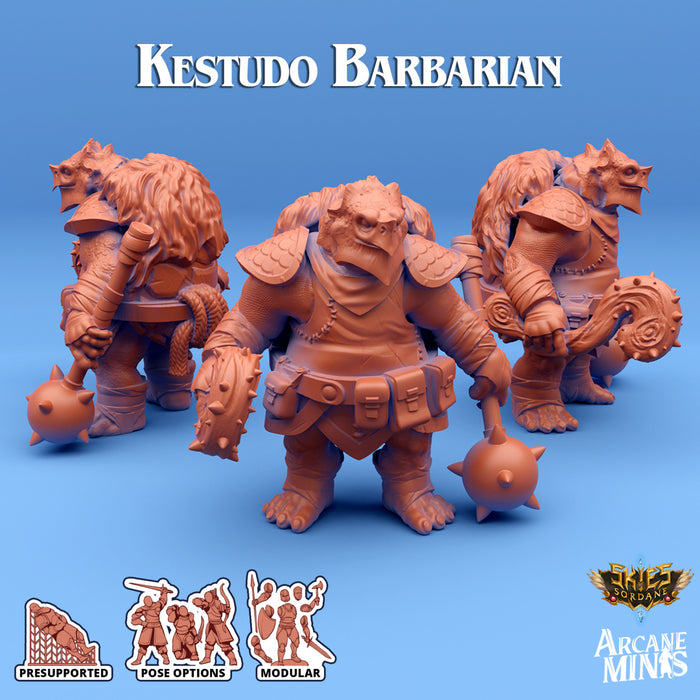 Kestudo Barbarian A | Skies of Sordane | Fantasy Miniature | Arcane Minis