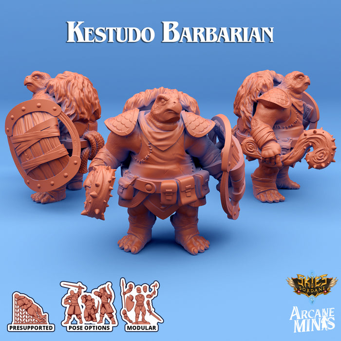 Kestudo Barbarian D | Skies of Sordane | Fantasy Miniature | Arcane Minis