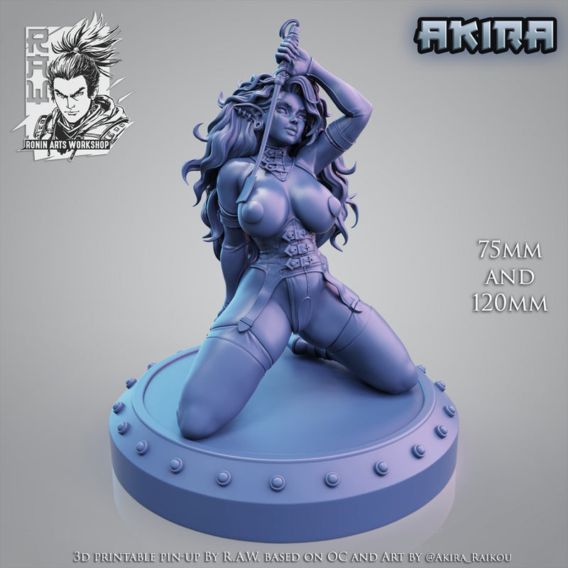 Dark Elf Akira | Pin-Up Statue Fan Art Miniature Unpainted | Ronin Arts Workshop
