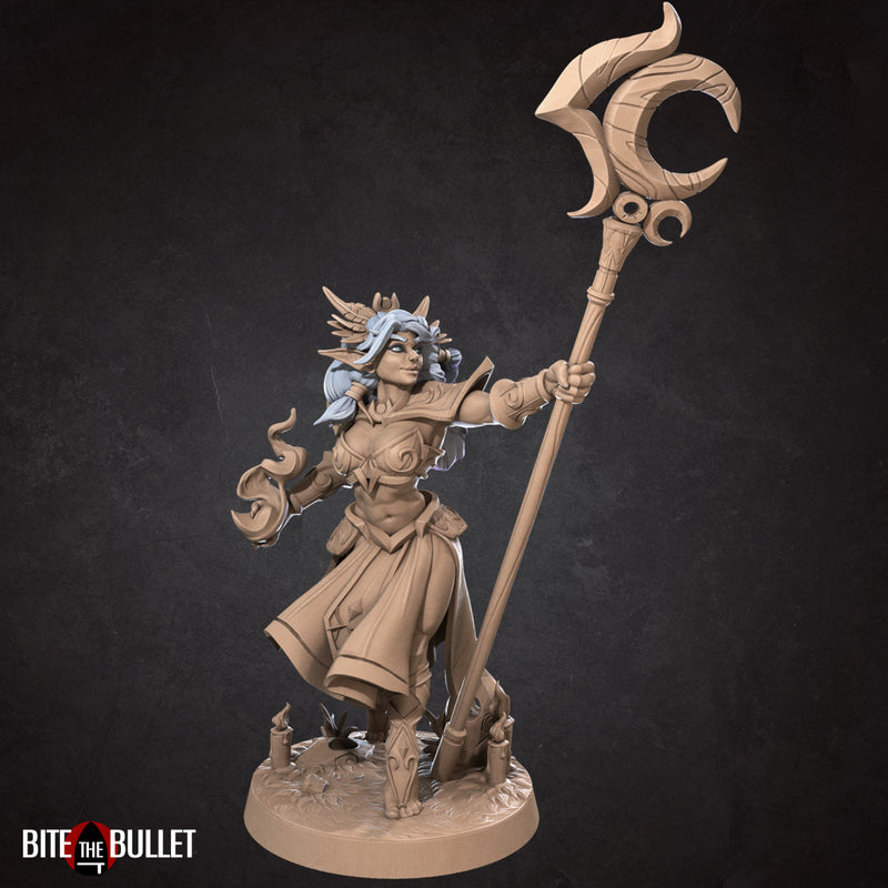Dark Elf Miniatures | Fantasy Miniature | Bite the Bullet