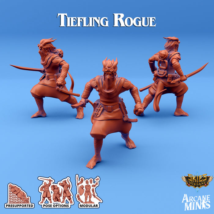 Tiefling Rogue C | Skies of Sordane | Fantasy Miniature | Arcane Minis