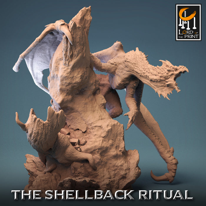 Legendary Chromatic White Dragon | The Shellback Ritual | Fantasy Miniature | Rescale Miniatures