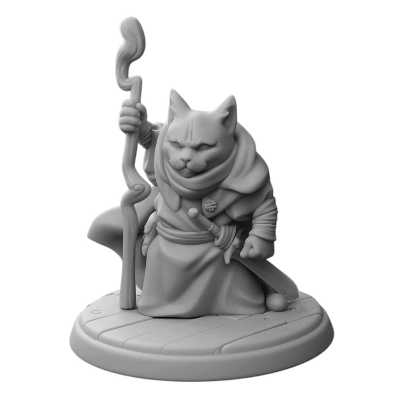 Cat Hermit Wizard | Friday Night Tavern | Fantasy Miniature | Twin Goddess Miniatures