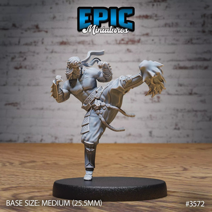 Fire Style Kung Fu Master Miniatures | Iron Fist Tournament | Epic Miniatures