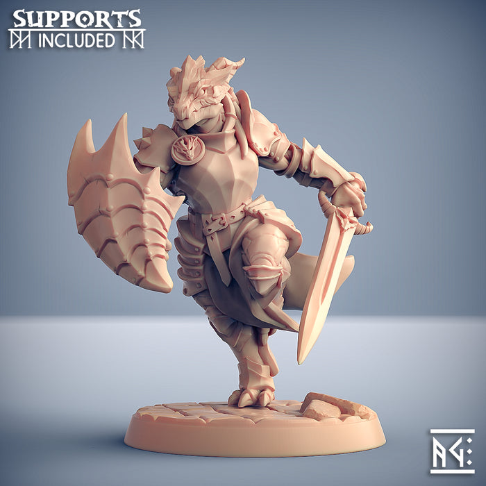 The Dragonguard Miniatures (Full Set) | Fantasy D&D Miniature | Artisan Guild